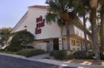 Red Roof Inn Tampa Busch Hotel Picture 4