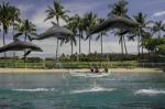 Hilton Waikoloa Village Hotel Picture 7