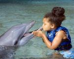 Hilton Waikoloa Village Hotel Picture 5