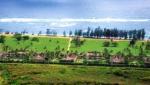 Best Western Plantation Hale Suites Hotel Picture 1