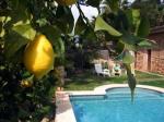 Casa Del Virrey Hotel Picture 2
