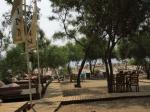 Alinn Club Hotel Picture 3