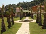 Alinn Club Hotel Picture 4