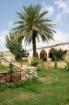 Nitovikla Garden Hotel Picture 1