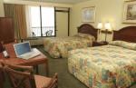 La Playa Resort & Suites Hotel Picture 3