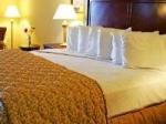 Plaza Resort & Spa Hotel Picture 5