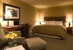 Doubletree Miami Mart Airport Hotel Picture 2