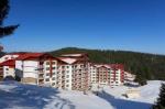Forest Nook Hotel Picture 0
