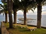 Almadraba Park Hotel Picture 1