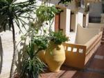 Happy Days Hersonissos Hotel Picture 3