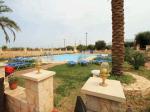 Danelis Hotel Malia Picture 6