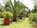 Club Lyda Hotel Picture 7