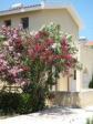 Natura Beach Villas Picture 1