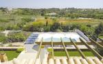 Villa Na Vinha Picture 2