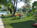 Halcyon Days Hotel Picture 1