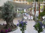 Port Side Resort Hotel Picture 3