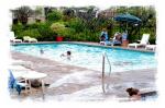 Pono Kai Resort Hotel Picture 2