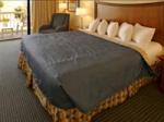 Best Western Ocean Beach Hotel and Suites Picture 5