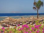 Cleopatra Luxury Resort Picture 5