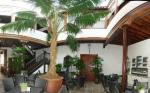 Isla Baja Suites Picture 2