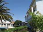 Palm Grove Studios & Apartments Picture 3