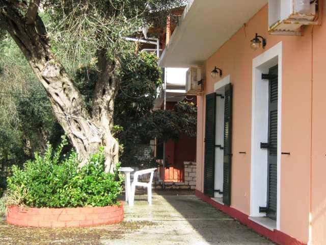 Dimitris Studios
