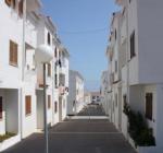 Hibiscus Apartments Picture 2