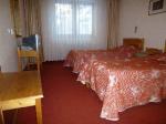 Bor & Edelweiss Hotel Picture 3
