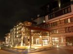 Lion Bansko Hotel Picture 0