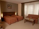 Lion Bansko Hotel Picture 6