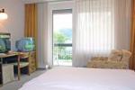 Jelovica Bled Hotel Picture 1