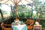 Azzurro Club Cabarete Picture 4