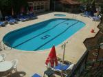 Camelia Apartments Picture 4