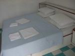Camelia Apartments Picture 6