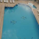 Ibrahim Bey Butik Hotel Picture 2