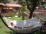 Perdikia Hill Hotel & Apartments Picture 4