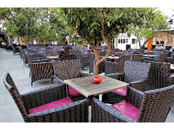 Les Orangers Beach Resort Hotel