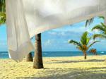 Coral Costa Caribe Hotel Picture 10