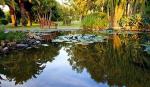 Don Carlos Leisure Resort & Spa Picture 5