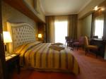 Grand Pasa Hotel Picture 8