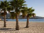 Ola Club Bermudas Hotel Picture 3