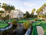 Tabaiba Princess Hotel Picture 5