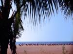 Hipotels La Geria Hotel Picture 1