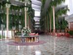 Be Live Playa La Arena Hotel Picture 2