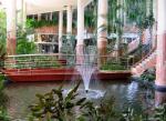 Be Live Playa La Arena Hotel Picture 5