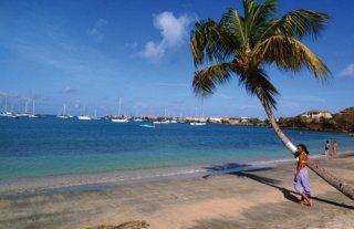 Lance Aux Epines Cottages
