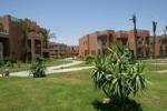 Rehana Sharm Resort Picture 5