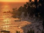 Viva Dominicus Palace Hotel Picture 3