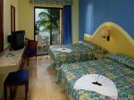 Viva Dominicus Palace Hotel Picture 5