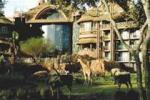 Disney's Animal Kingdom Lodge Picture 0